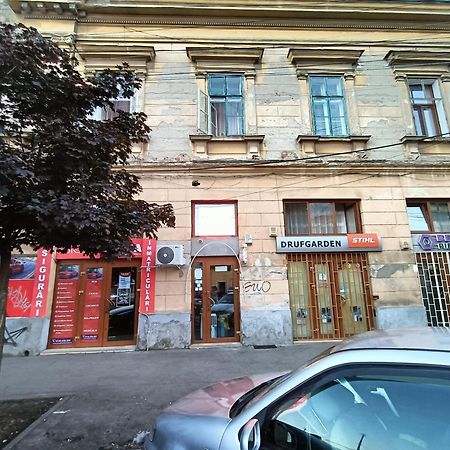 Hotel Casa Heidi Timişoara Exterior foto